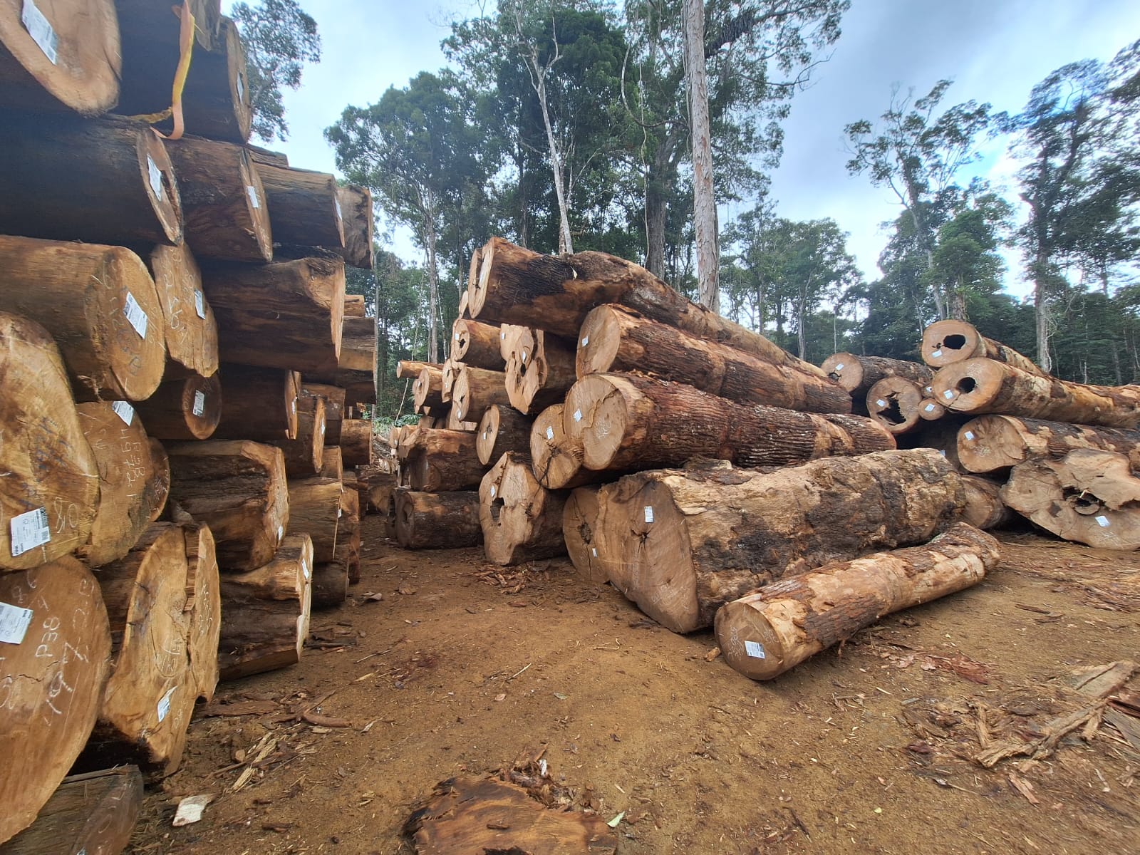 WhatsApp Image 2025-01-17 at 10.05.59 (1).jpeg