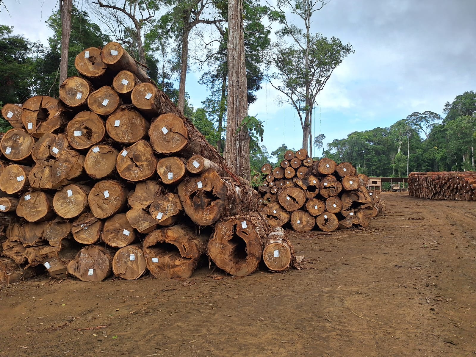 WhatsApp Image 2025-01-17 at 10.06.24.jpeg