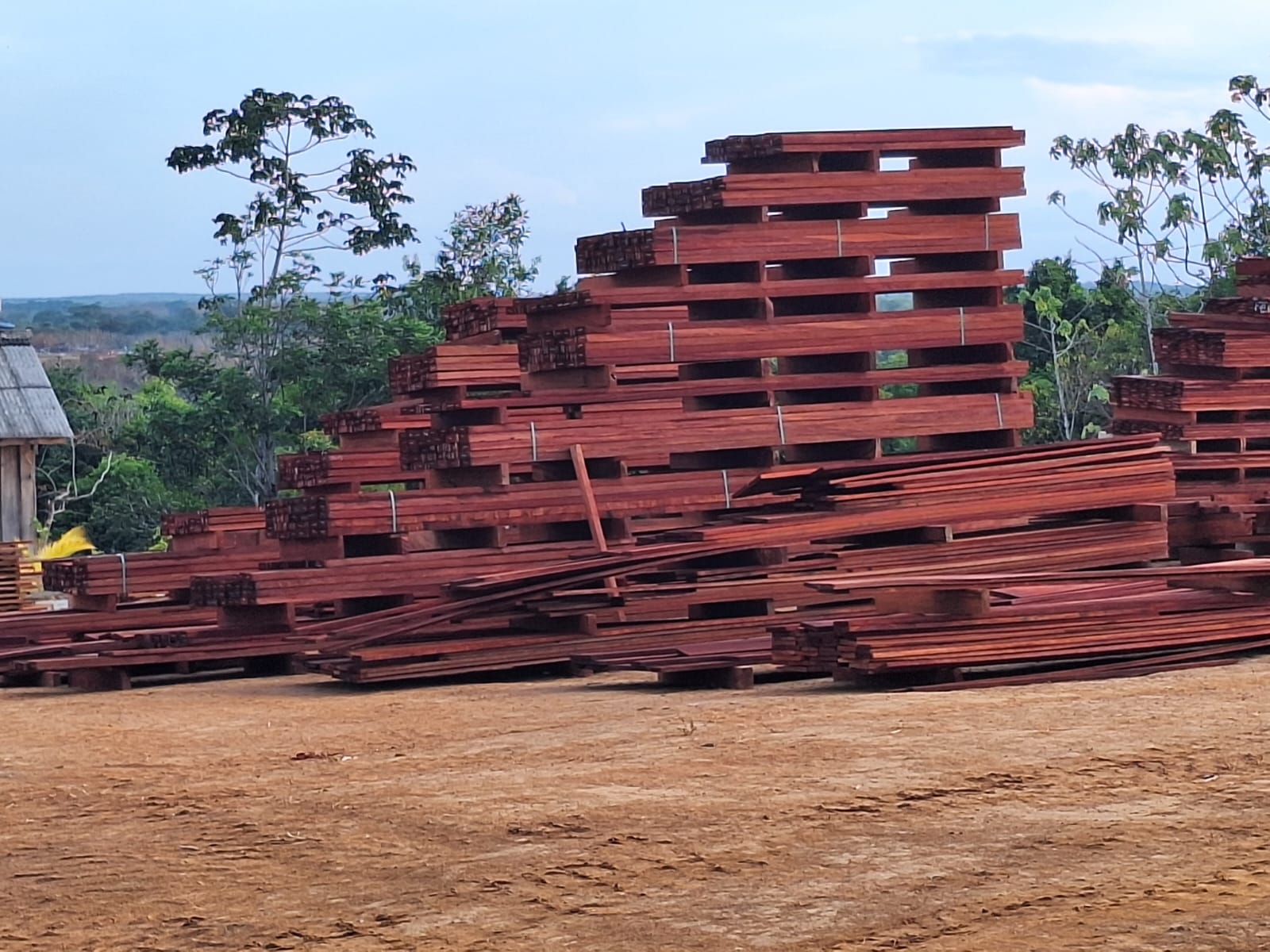 WhatsApp Image 2025-01-17 at 10.06.25.jpeg